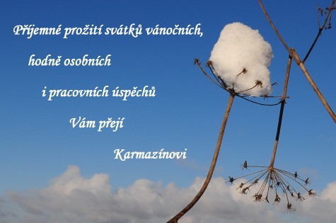 pf_2025_dsc_4882a.jpg_prani-vanoce24_karmazinovi.jpg